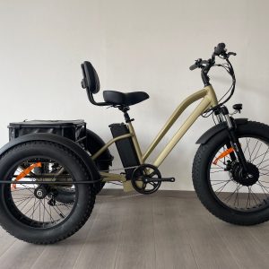 E-Trike