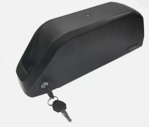 African BushBike Battery (48v, 20Ah Samsung)
