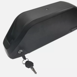 African BushBike Battery (48v, 20Ah Samsung)