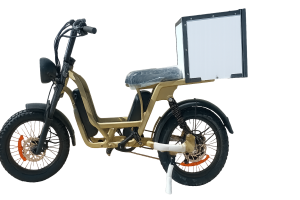 BushBike DELIVERY BOX