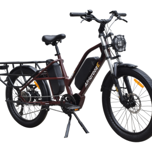 AfricroozE E-Bikes